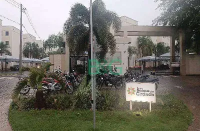 Apartamento à venda, 44 m² por r$ 114.738,71 - patrimônio santo antônio - birigüi/sp
