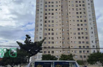Apartamento com 2 dormitórios à venda, 44 m² por r$ 177.000,00 - ponte grande - guarulhos/sp