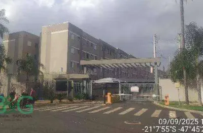 Apartamento com 2 dormitórios à venda, 43 m² por r$ 149.571 - jardim das palmeiras - ribeirão preto/sp