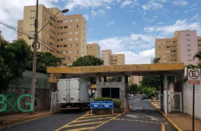 Apartamento com 2 dormitórios à venda, 52 m² por r$ 85.163,00 - jardim palma travassos - ribeirão preto/sp