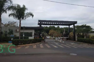 Apartamento com 2 dormitórios à venda, 43 m² por r$ 158.487,15 - jardim heitor rigon - ribeirão preto/sp