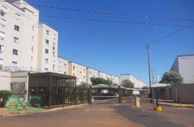 Apartamento com 2 dormitórios à venda, 40 m² por r$ 112.583 - jardim campo alegre - sertãozinho/sp