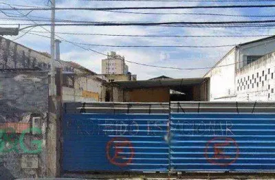 Galpão à venda, 450 m² por r$ 2.800.000,00 - vila moraes - são paulo/sp