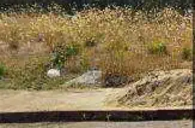 Terreno em condomínio fechado à venda na Avenida Joaquim Pedro de Oliveira, 7, Centro, Iacanga