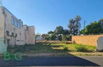 Terreno à venda, 555 m² por r$ 272.019 - parque sao luiz - penápolis/são paulo