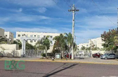 Apartamento com 2 dormitórios à venda, 39 m² por R$ 112.028 - Vila Giampietro - Birigüi/SP