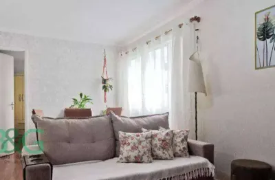 Apartamento com 2 dormitórios à venda, 55 m² por R$ 354.000 - Jardim Íris - São Paulo/SP