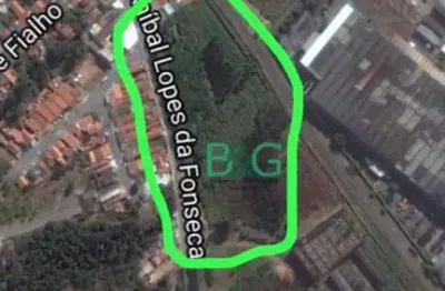 Terreno à venda, 19500 m² por r$ 3.800.000,00 - jardim campo limpo - campo limpo paulista/sp