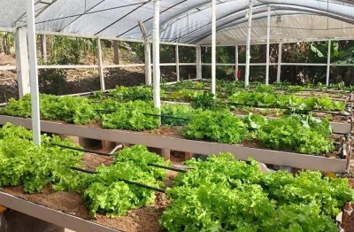 Chácara à venda no residencial recanto das andorinhas – pinhalzinho/sp