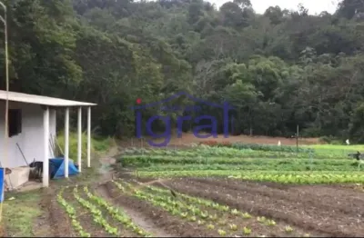 Sitio em piracaia com 8.000m²  r$ 240.000,00 imóvel com plantação, edificação simples não finalizada