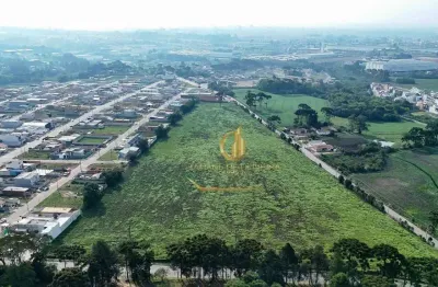 Área para alugar, 63000 m² por r$ 75.600,00/mês - costeira - são josé dos pinhais/pr