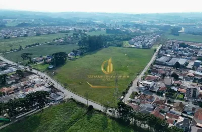 Área para alugar, 60000 m² por R$ 72.000,00/ano - Costeira - São José dos Pinhais/PR