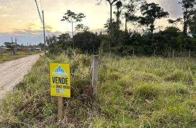 Terreno à venda na loteamento albatroz, praia do ervino, são francisco do sul por r$ 270.000