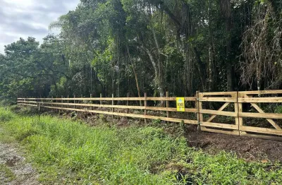 Terreno à venda na rua do linguado, 1, praia do ervino, são francisco do sul por r$ 280.000