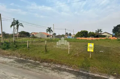 Terreno à venda na loteamento albatroz, praia do ervino, são francisco do sul por r$ 530.000