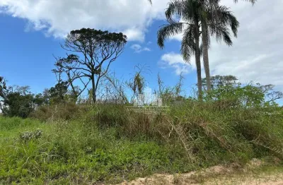 Terreno à venda na loteamento jardim curitiba, praia do ervino, são francisco do sul, 300 m2 por r$ 170.000