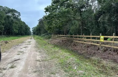 Terreno à venda na rua do linguado, s/n°, praia do ervino, são francisco do sul por r$ 250.000