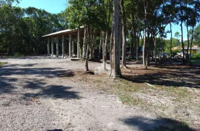 Chácara / sítio à venda na área rural, praia do ervino, são francisco do sul, 96 m2 por r$ 225.000