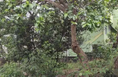 Terreno em condomínio fechado à venda na Vila Clarice, São Paulo 