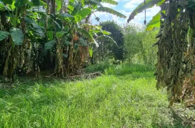 Área à venda, 11553 m² por r$ 800.000,00 - cotia - cotia/sp
