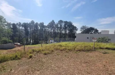 Terreno à venda, 500 m² por r$ 320.000,00 - cotia - cotia/sp