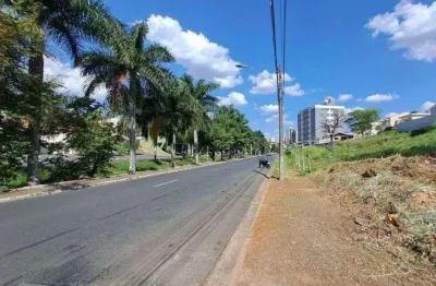 Terreno comercial à venda no Jardim São Domingos, Americana 