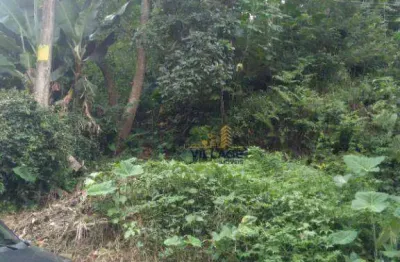 Terreno à venda, 250 m² por r$ 130.000,00 - parque sinai - santana de parnaíba/sp