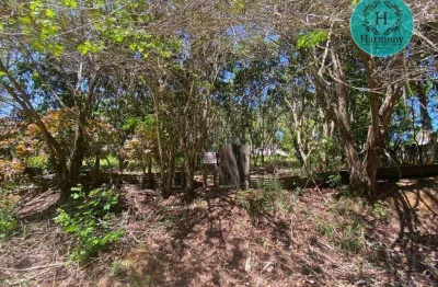 Terreno à venda, 4135 m² por r$ 240.000 - caçapava velha - caçapava/sp