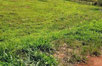 Terreno à venda, 1675 m² por R$ 280.000 - Condomínio Terras de Santa Mariana - Caçapava/SP