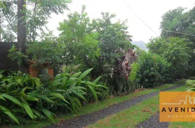 Chácara com 3 dormitórios à venda, 7700 m² por r$ 1.500.000,00 - são domingos - paulínia/sp