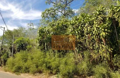 Área à venda, 5000 m² por r$ 5.000.000,00 - santa terezinha - paulínia/sp