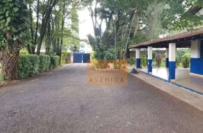 Chácara à venda, 4650 m² por r$ 5.200.000,00 - santa terezinha - paulínia/sp