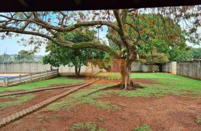 Chácara com 1 dormitório à venda, 2000 m² por r$ 1.000.000,00 - joão aranha - paulínia/sp