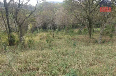 Terreno à venda, 1770 m² por r$ 200.000,00 - olho d'água - mairiporã/sp