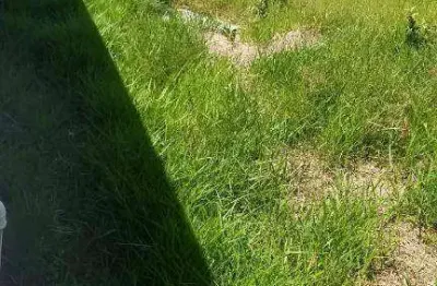Terreno à venda, 600 m² por r$ 110.000 - são vicente - mairiporã/sp