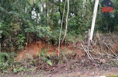 Terreno à venda, 1250 m² por r$ 200.000,00 - parque germânia - mairiporã/sp