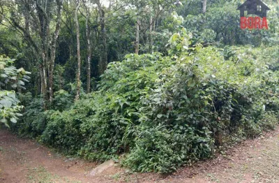 Terreno à venda, 2800 m² por r$ 260.000 - parque germânia - mairiporã/sp