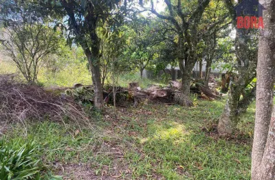 Terreno à venda, 400 m² por r$ 176.000,00 - terra preta - mairiporã/sp
