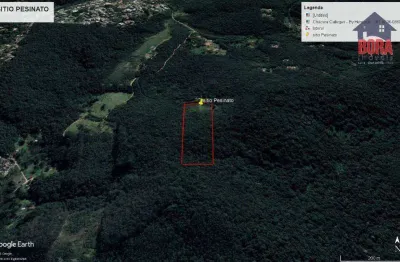Área à venda, 31000 m² por r$ 1.240.000 - apolinário - mairiporã/sp