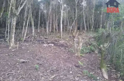 Terreno à venda, 2510 m² por r$ 270.000,00 - cacéia - mairiporã/sp