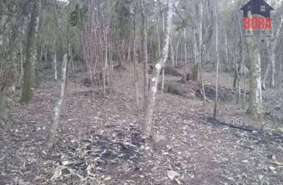 Terreno à venda, 2080 m² por r$ 200.000,00 - caceia - mairiporã/sp