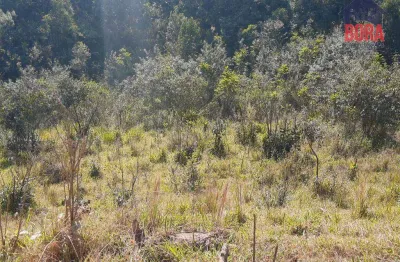 Terreno à venda, 500 m² por r$ 65.000 - capoavinha - mairiporã/sp