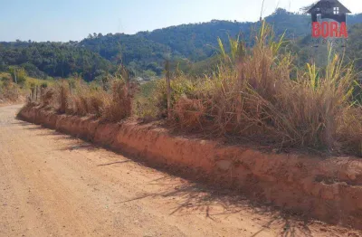 Terreno à venda, 500 m² por r$ 65.000 - capoavinha - mairiporã/sp