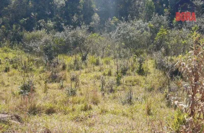 Terreno à venda, 500 m² por r$ 65.000 - capoavinha - mairiporã/sp