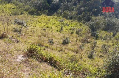 Terreno à venda, 500 m² por r$ 65.000 - capoavinha - mairiporã/sp