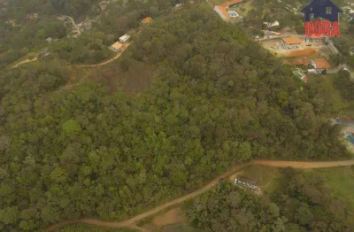 Terreno à venda, 3011 m² por r$ 220.000 - capoavinha - mairiporã/sp