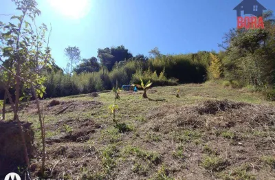 Terreno à venda, 6000 m² por r$ 400.000 - rio acima - mairiporã/sp