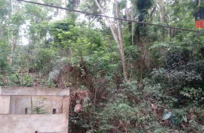 Terreno à venda, 1190 m² por r$ 100.000 - terra preta - mairiporã/sp