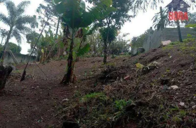 Terreno à venda, 1500 m² por r$ 95.000,00 - terra preta - mairiporã/sp