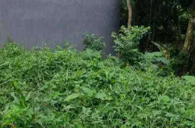 Terreno à venda, 1250 m² por r$ 250.000 - rancho grande - mairiporã/sp